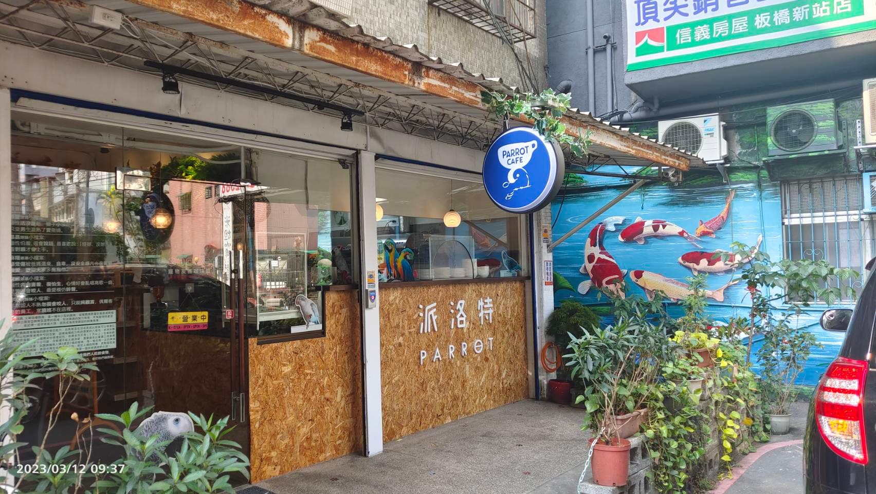 PARROT COFFEE 派洛特咖啡（鸚鵡友善空間）